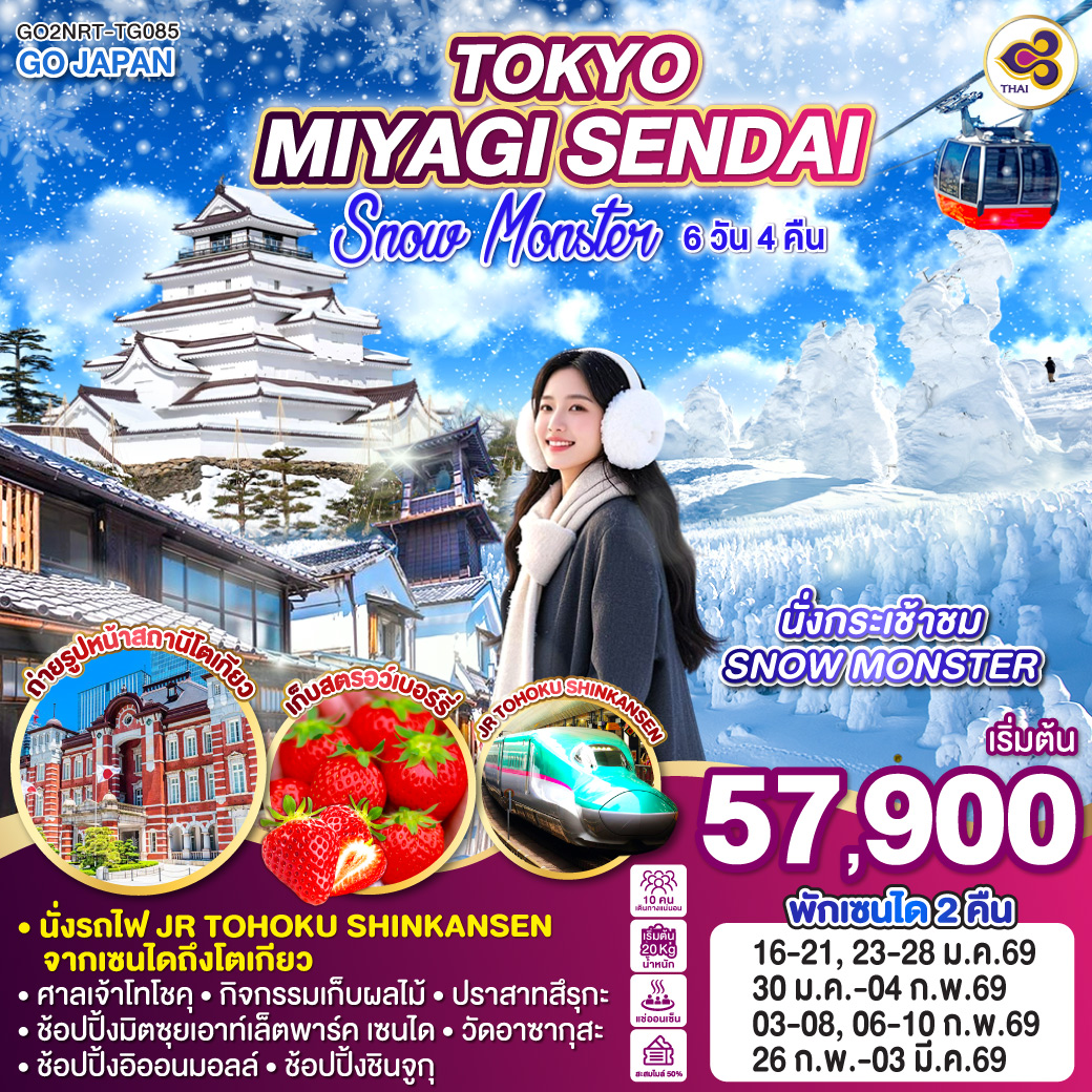 ทัวร์ญี่ปุ่น TOKYO MIYAGI SENDAI SNOW MONSTER 6วัน 4คืน (TG)