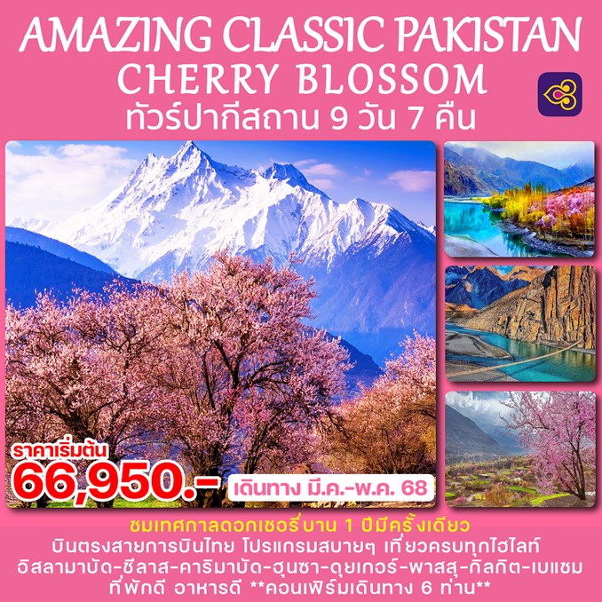 ทัวร์ปากีสถาน เทศกาลดอกเชอรี่บาน 9วัน 7คืน (TG)